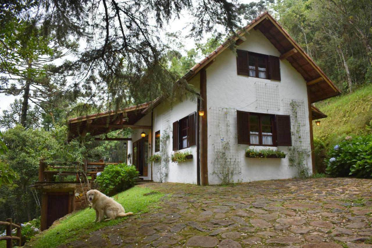 Chalet Da Hortensias Villa Cunha Luaran gambar